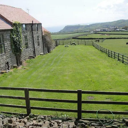 Meadow View *