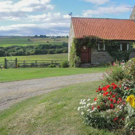 Meadow View *