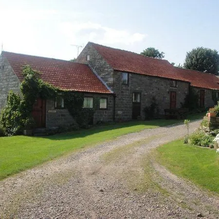 Meadow View